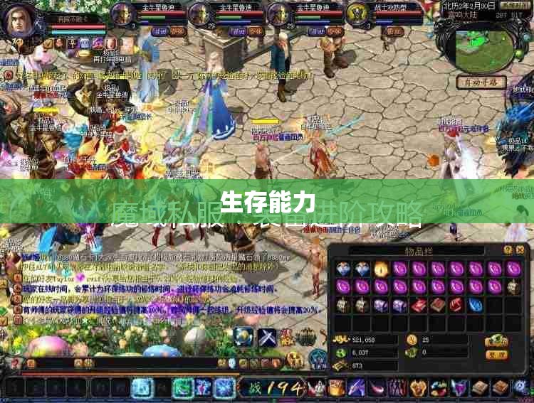 魔域剑圣传奇：私人定制攻略与装备指南 - 私服魔域网