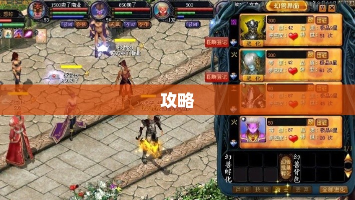 卓越之路：魔域私服宝宝选择与攻略大全 - 私服魔域网