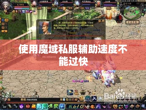 使用魔域私服辅助速度不能过快