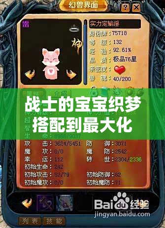 战士的宝宝织梦搭配到最大化
