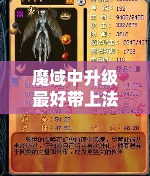 魔域中升级最好带上法师型宝宝