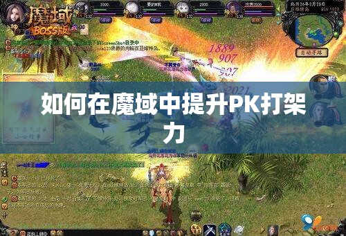 如何在魔域中提升PK打架力