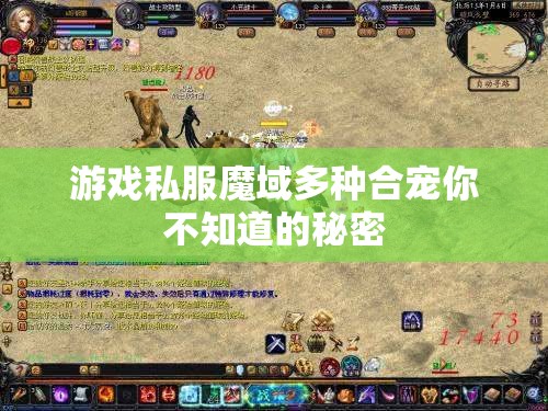 游戏私服魔域多种合宠你不知道的秘密