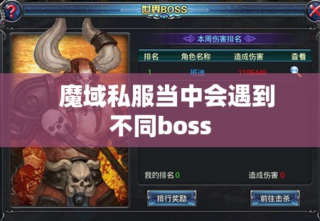 在挑战boss任务中是什么需要注意