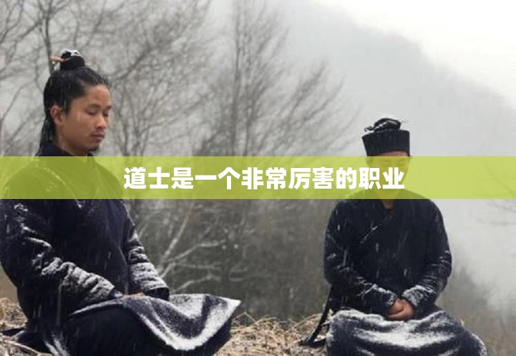道士的治愈术效果与等级有很大关系