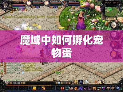 魔域中如何孵化宠物蛋