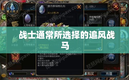 魔域私服中有些坐骑提供的属性加成是很高的