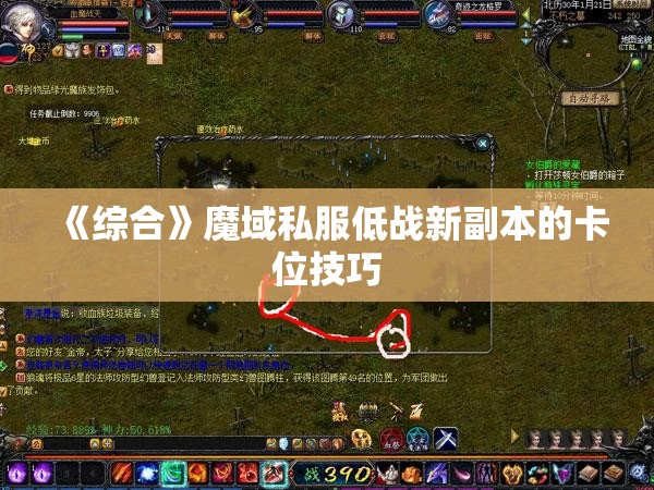 《综合》魔域私服低战新副本的卡位技巧